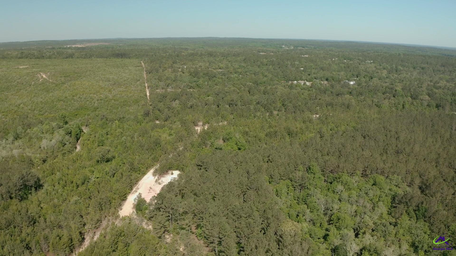 Carl Sutton Road Lizella, GA 31052 - Photo 13 of 23
