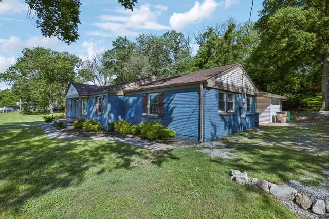a view of a house with a yard plants and large tree