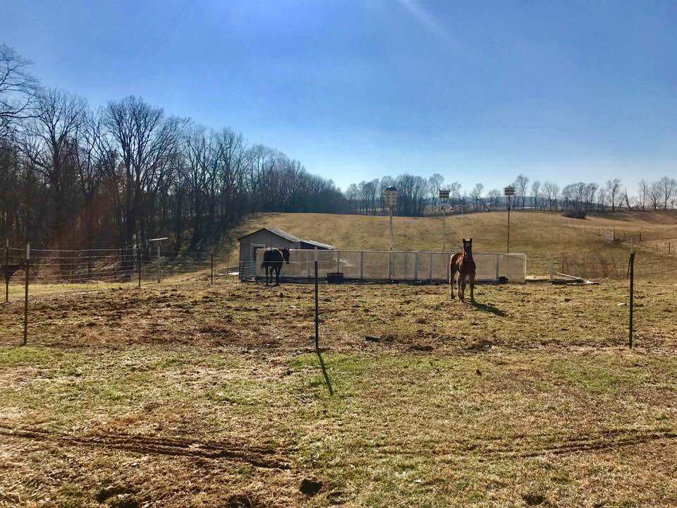 460 Mahan Road Mitchell, IN 47446 - Photo 23 of 25