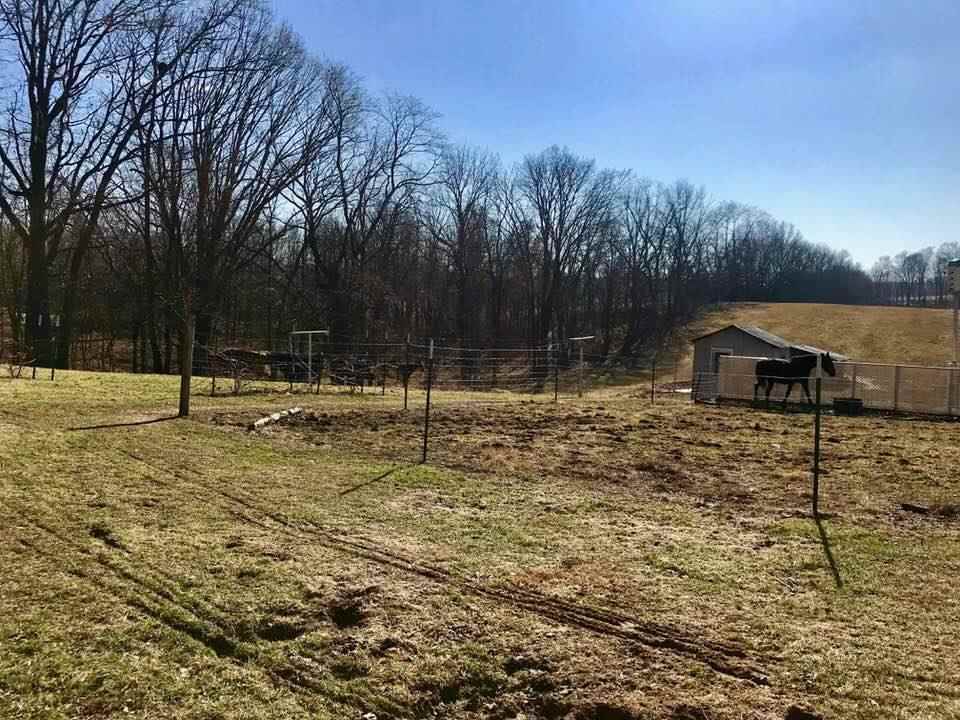 460 Mahan Road Mitchell, IN 47446 - Photo 24 of 25