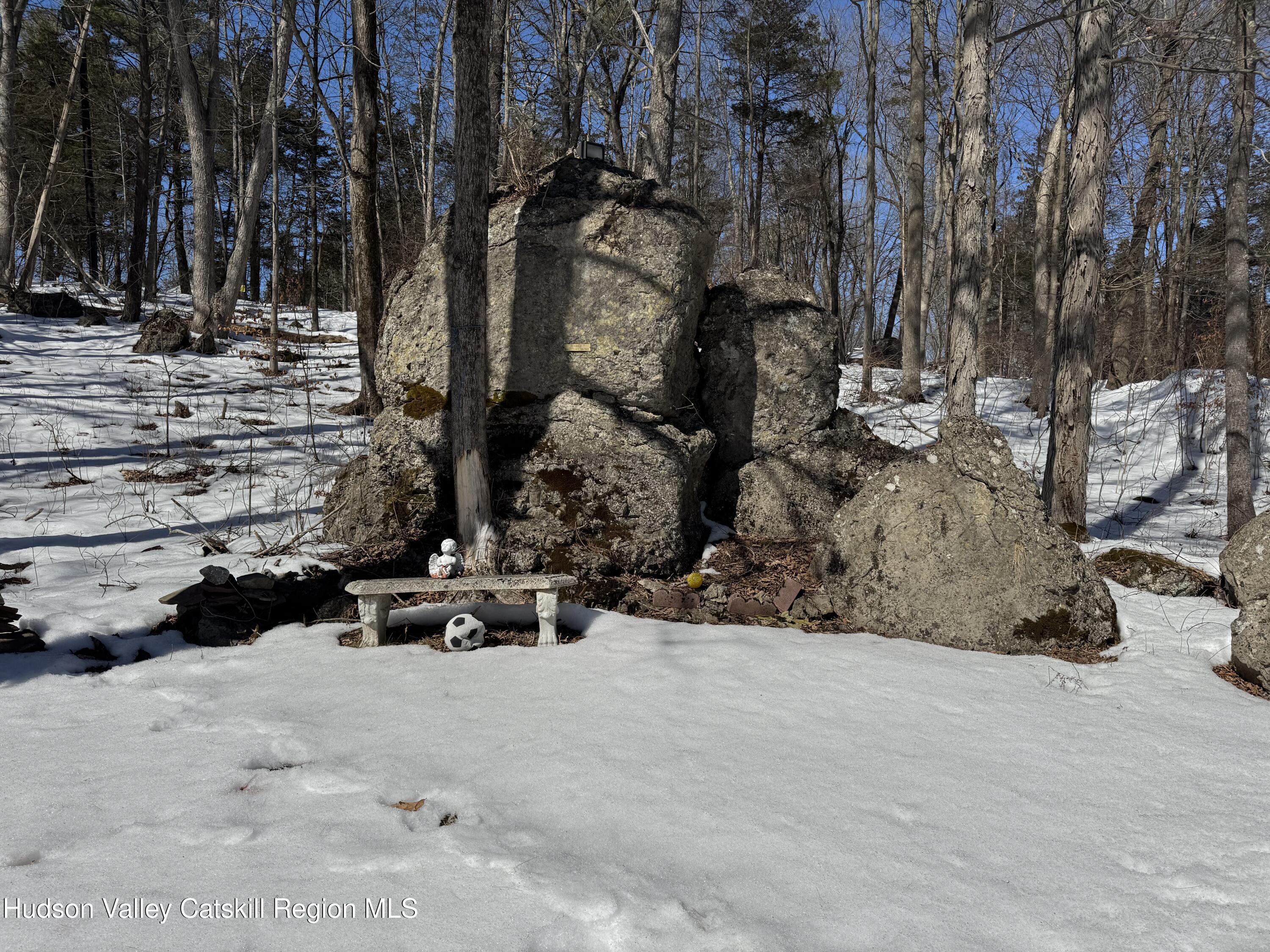 24 Palmer Road Catskill, NY 12414 - Photo 23 of 27 a view of tall trees with a yard