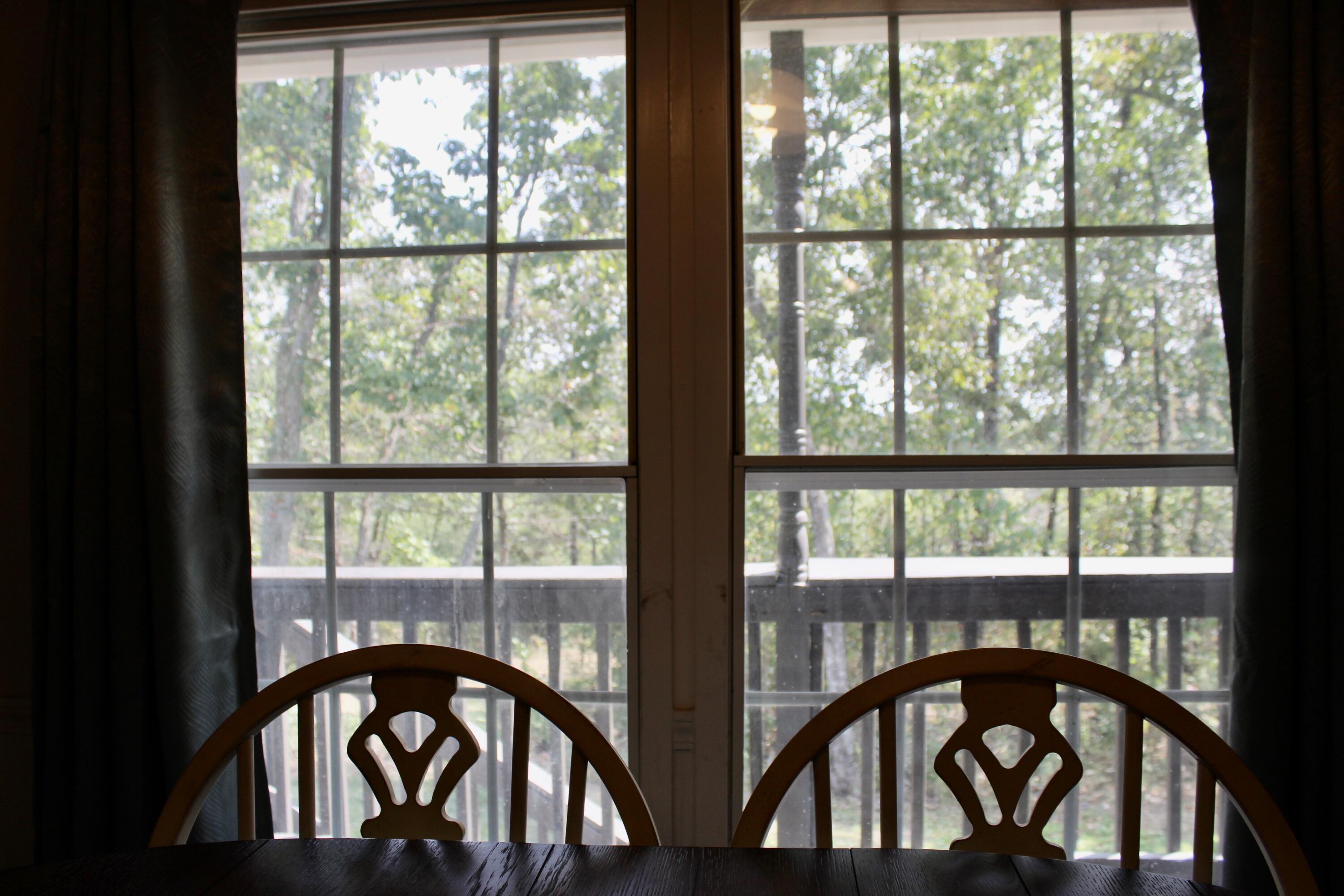 276 Overlook Trail Spring City, TN 37381 - Photo 15 of 29 IMG_0288