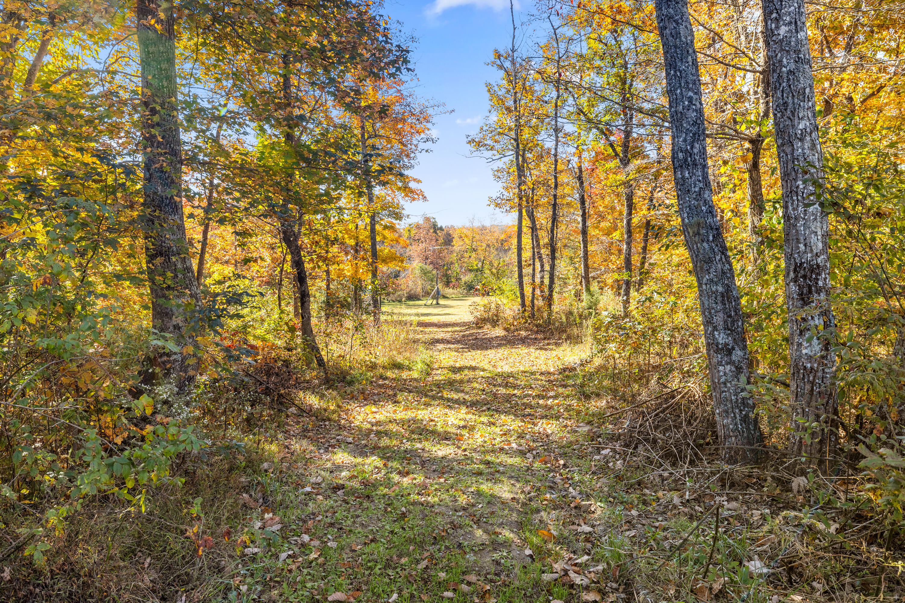 276 Overlook Trail Spring City, TN 37381 - Photo 25 of 29 Positive Perceptions-24