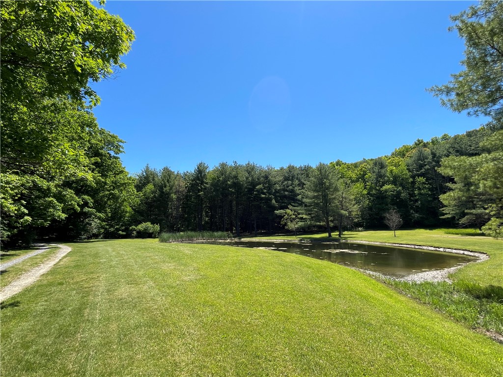 5087 Hagerty Road Middlesex, NY 14507 - Photo 20 of 37
