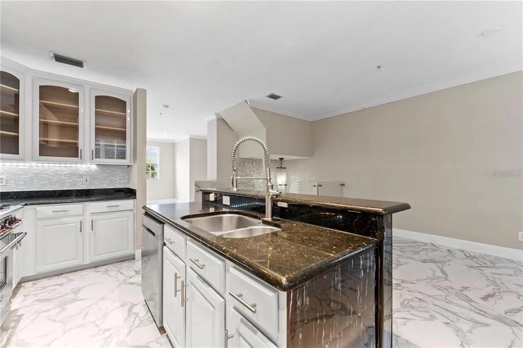 1437 Harbour Walk Road Tampa, FL 33602 - Photo 9 of 32 a kitchen with a sink and cabinets