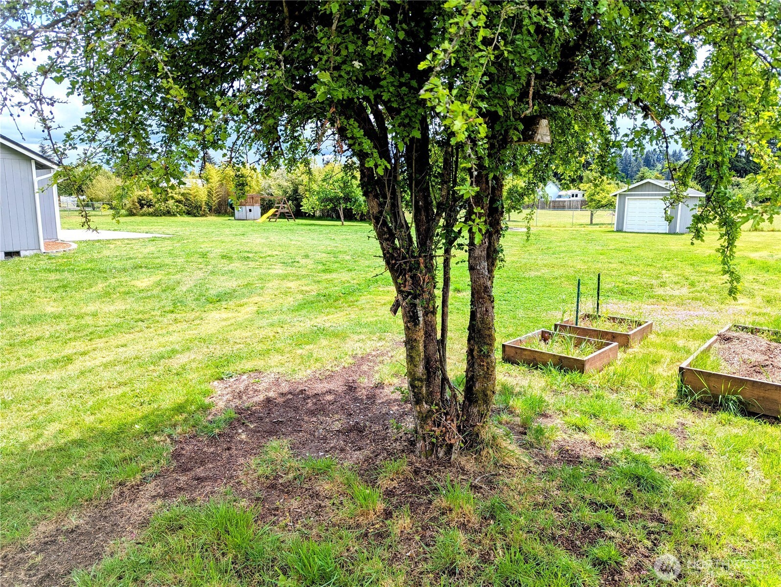 9441 180th Way Southwest Rochester, WA 98579 - Photo 33 of 37 a view of a backyard with a garden and trees