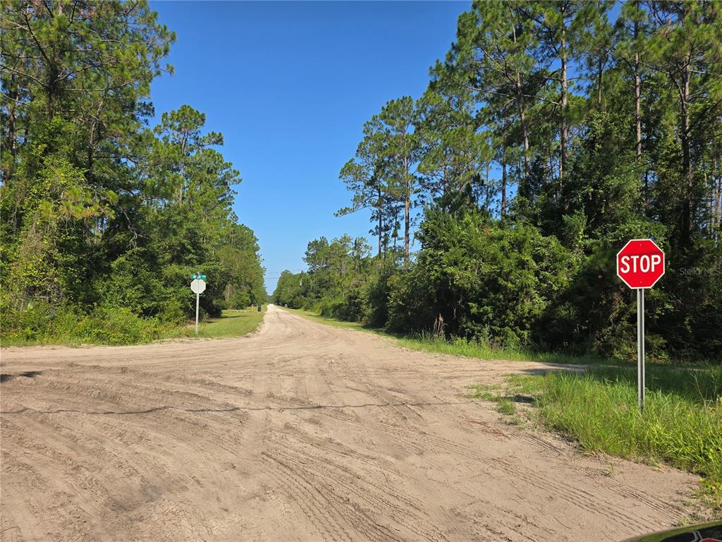 5446 Mango Avenue Bunnell, FL 32110 - Photo 16 of 17