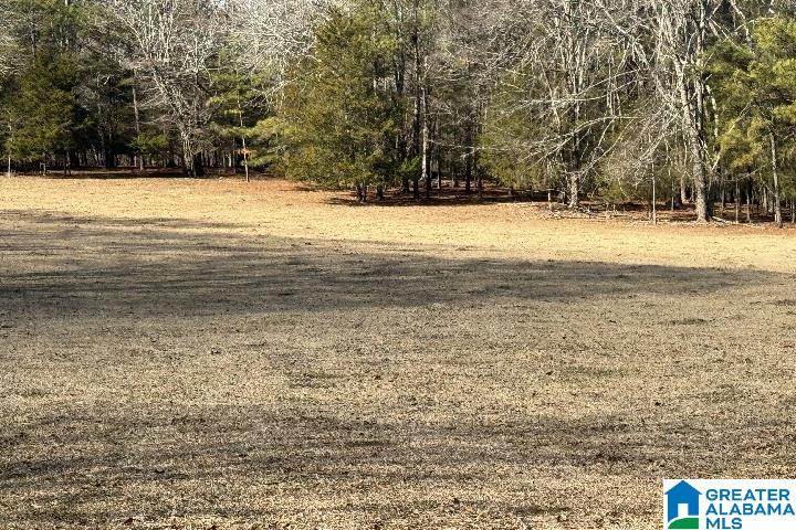1036 Rushing Springs Road Lincoln, AL 35096 - Photo 27 of 58