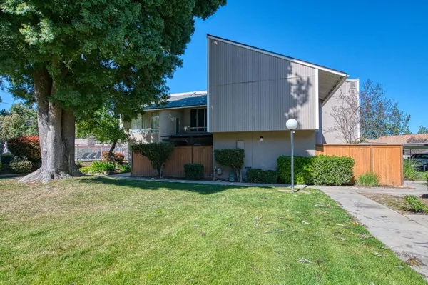 a view of a patio with table and chairs plants and large tree