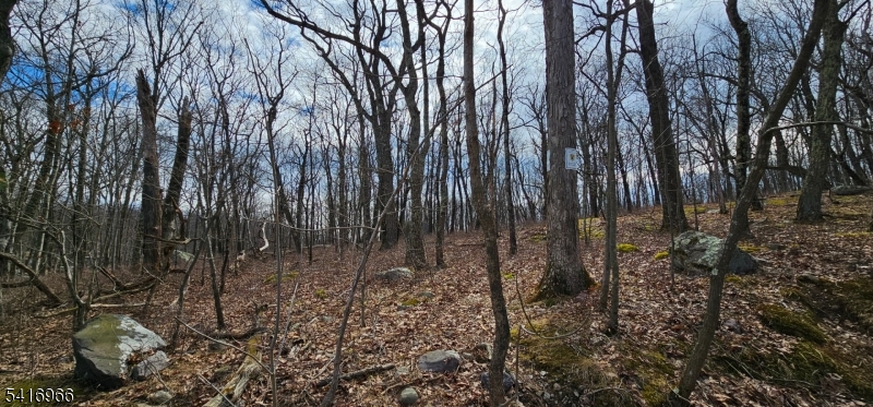 0 Upper Hibernia Road Rockaway, NJ 07866 - Photo 11 of 15