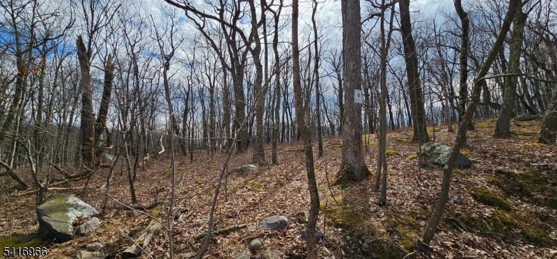 0 Upper Hibernia Road Rockaway, NJ 07866 - Photo 12 of 15