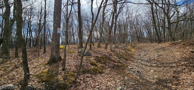 0 Upper Hibernia Road Rockaway, NJ 07866 - Photo 13 of 15