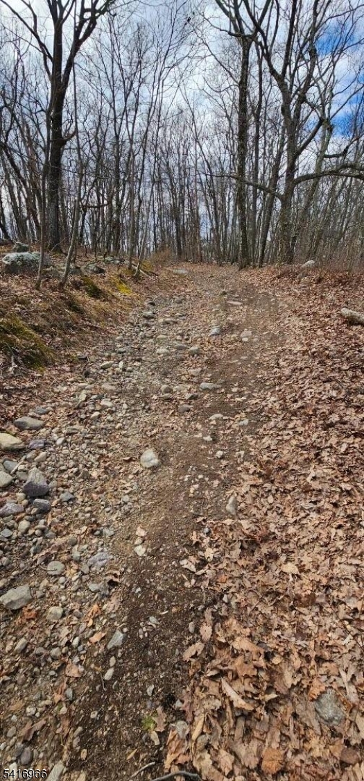 0 Upper Hibernia Road Rockaway, NJ 07866 - Photo 14 of 15