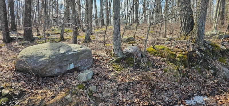 0 Upper Hibernia Road Rockaway, NJ 07866 - Photo 15 of 15