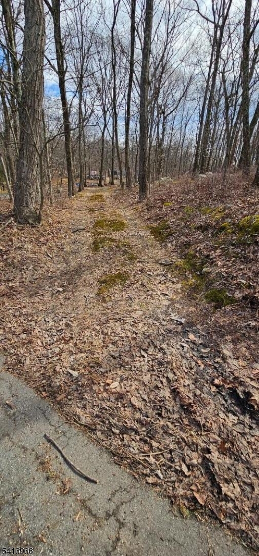 0 Upper Hibernia Road Rockaway, NJ 07866 - Photo 2 of 15