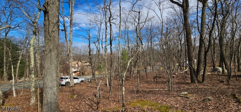 0 Upper Hibernia Road Rockaway, NJ 07866 - Photo 5 of 15