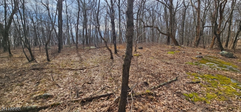 0 Upper Hibernia Road Rockaway, NJ 07866 - Photo 7 of 15