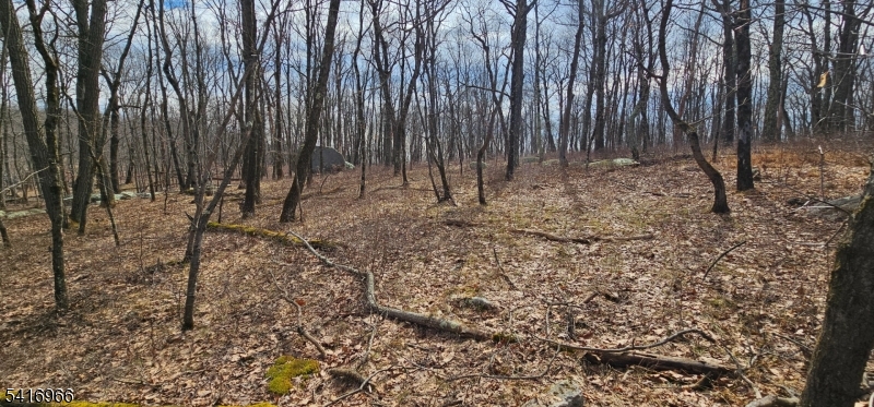 0 Upper Hibernia Road Rockaway, NJ 07866 - Photo 8 of 15