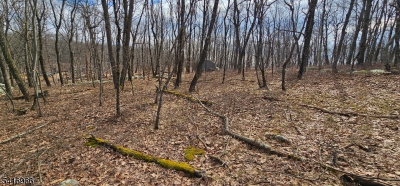 0 Upper Hibernia Road Rockaway, NJ 07866 - Photo 9 of 15