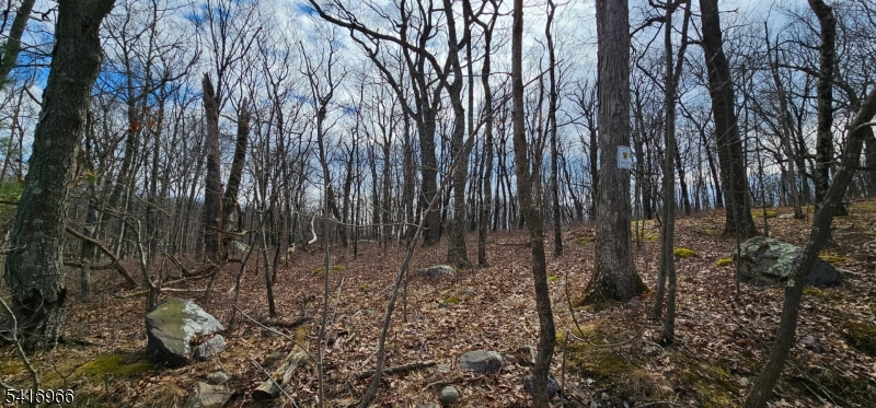 0 Upper Hibernia Road Rockaway, NJ 07866 - Photo 10 of 15