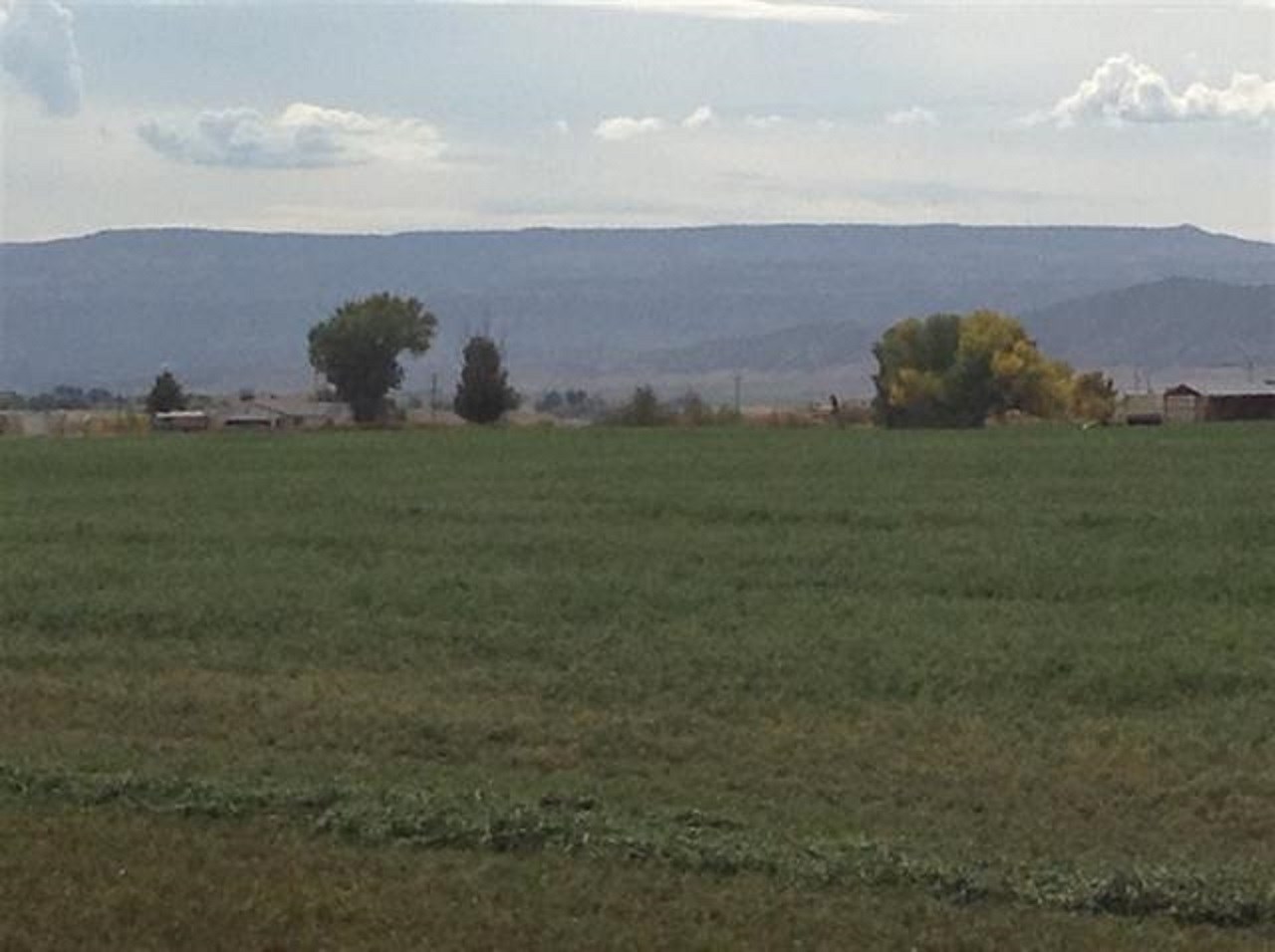 1859-approx 11 Road Mack, CO 81525 - Photo 3 of 6 a view of a green field