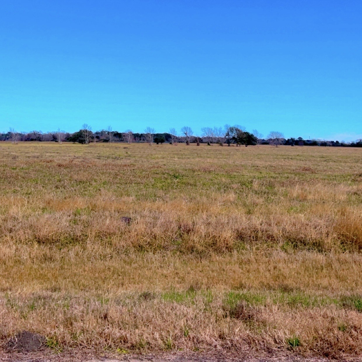 345 Sandy Trail Angleton, TX 77515 - Photo 2 of 18 a view of lake and mountain