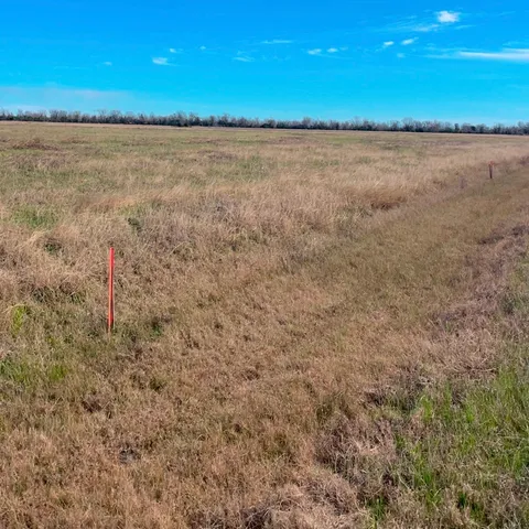 a view of beach and ocean