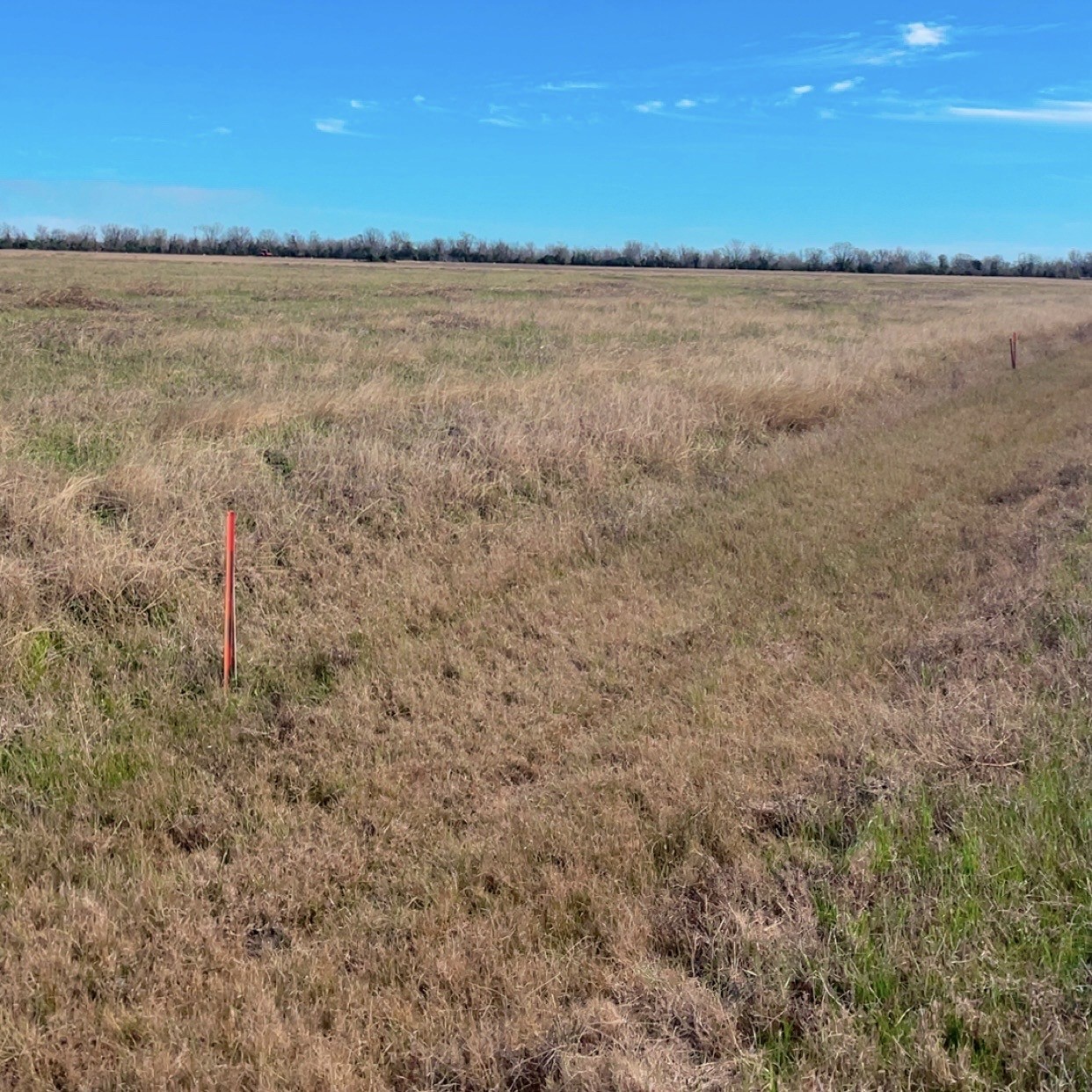 345 Sandy Trail Angleton, TX 77515 - Photo 4 of 18