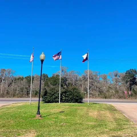a view of a park with large trees