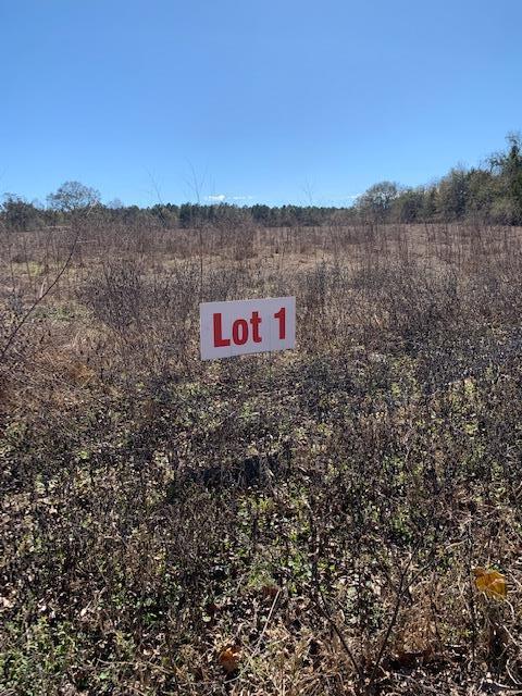 0 Box Road Dothan, AL 36301 - Photo 1 of 6