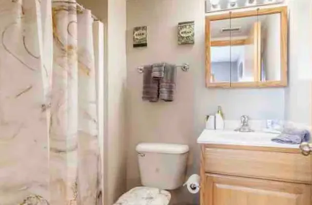 a bathroom with a granite countertop sink toilet and shower