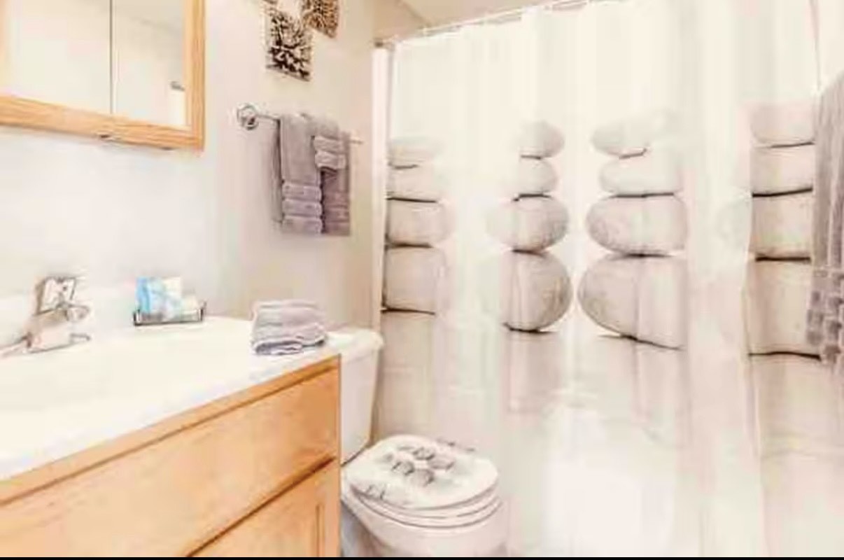 10620 Central Avenue, Unit 2A Chicago Ridge, IL 60415 - Photo 13 of 16 a bathroom with a sink and a mirror