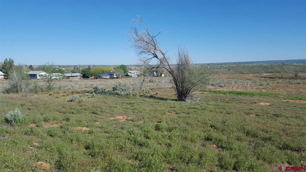 Tbd East Empire Street Cortez, CO 81321 - Photo 2 of 7 a view of a dry yard with lots of green space