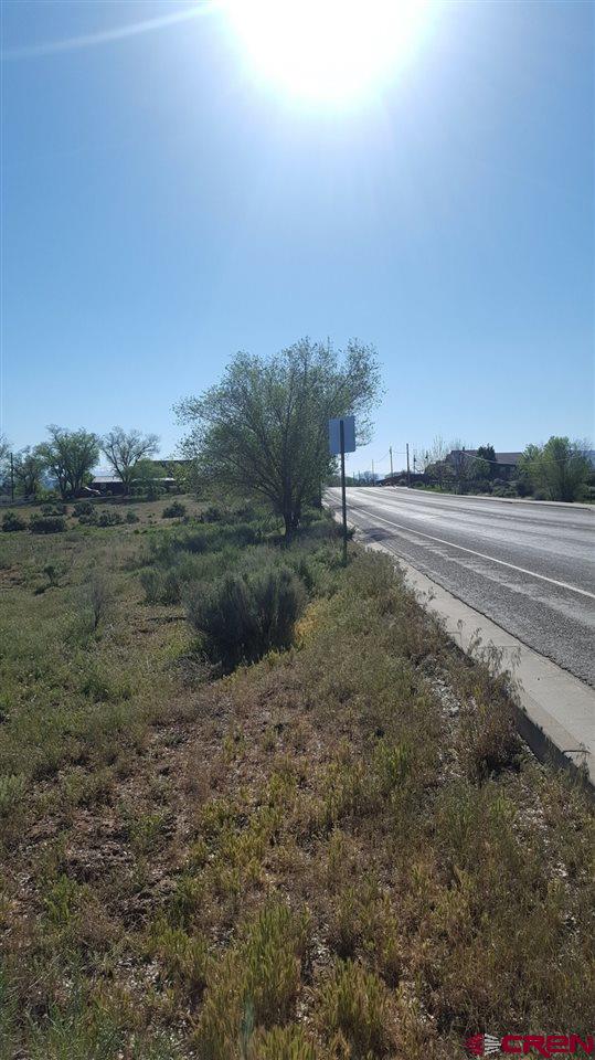Tbd East Empire Street Cortez, CO 81321 - Photo 3 of 7 a view of a dry yard with trees