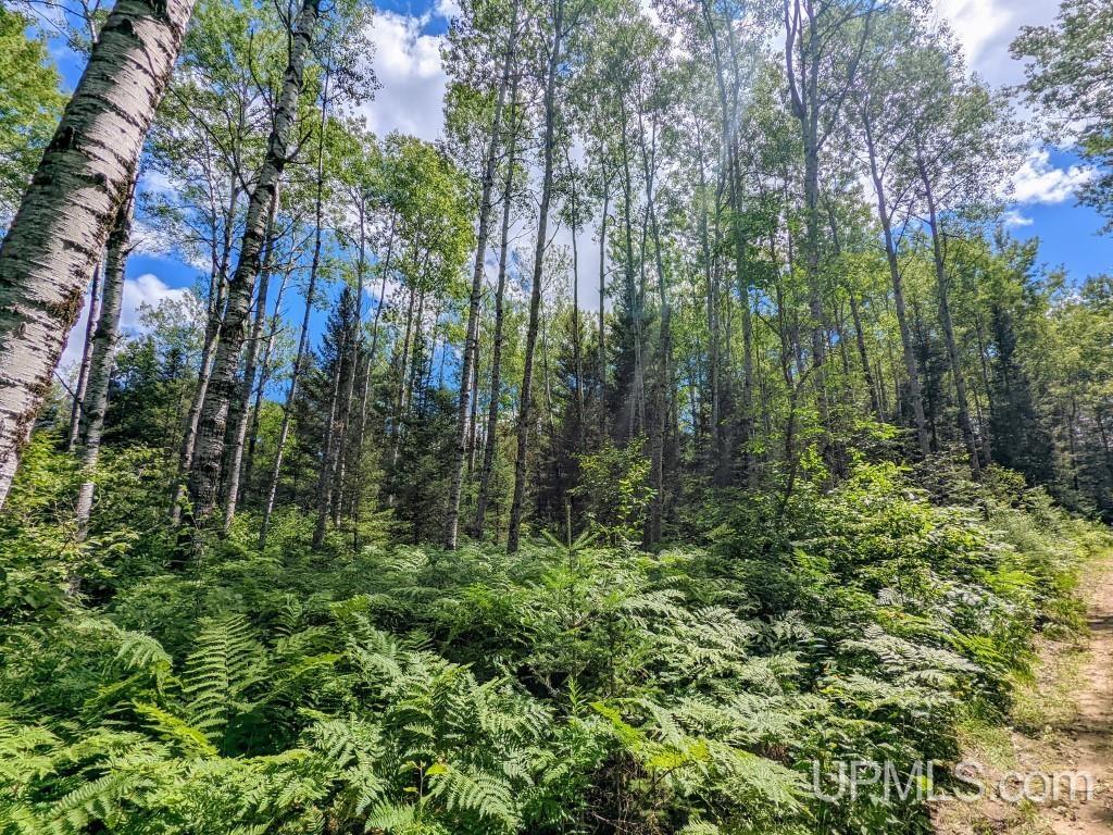 1 Rd Channing Mi 49815 Road Crystal Falls, MI 49920 - Photo 3 of 16 Gallery Image 3