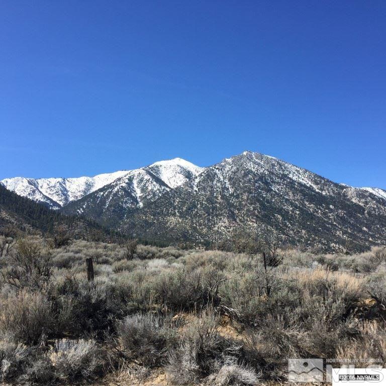 1 Foothill Road Woodfords, CA 96120 - Photo 4 of 5 a view of a mountain