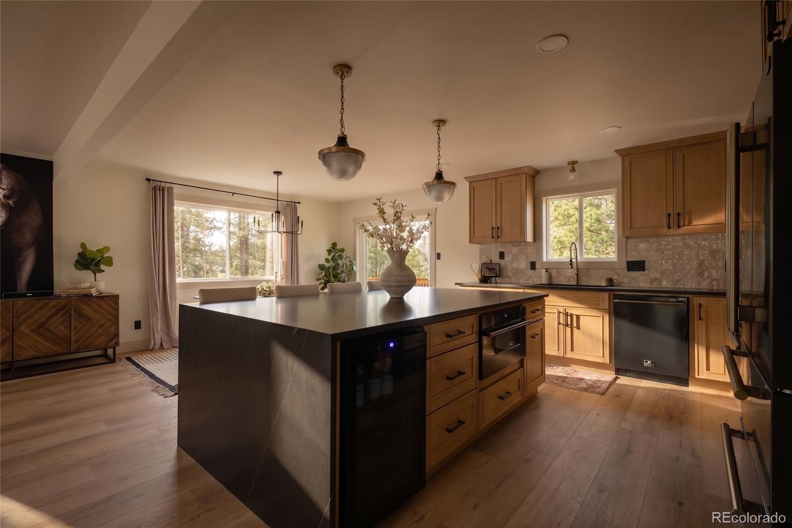 33691 Nova Road Pine, CO 80470 - Photo 8 of 38 Gallery Image 8