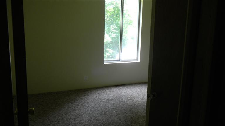 11908 S Road Farwell, MI 48622 - Photo 5 of 17 Additional Photo