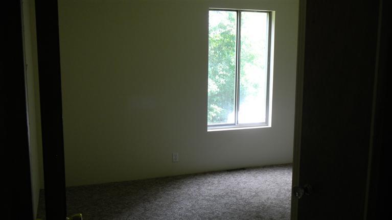 11908 S Road Farwell, MI 48622 - Photo 6 of 17 Additional Photo