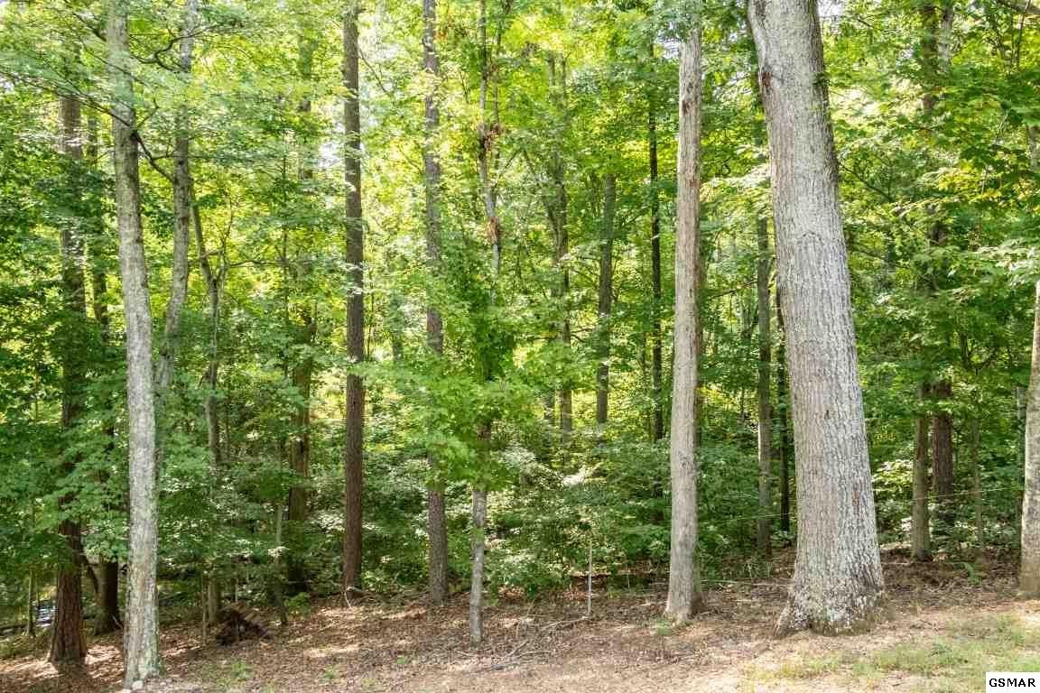 58 Mallard Bay Phase 2 Rutledge, TN 37861 - Photo 2 of 5 Gallery Image 2