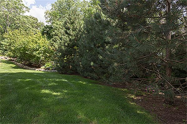 39 Summit Road, Unit 14 Belmont, MA 02478 - Photo 25 of 27 Gallery Image 25