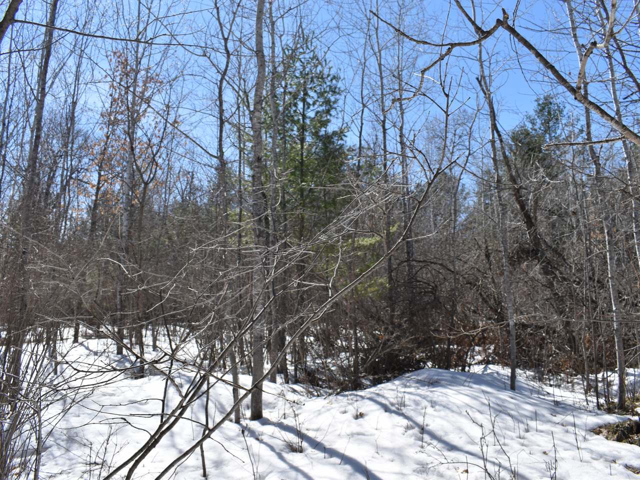 On On Pine Road, Unit LOT3 Tomahawk, WI 54487 - Photo 15 of 20 Gallery Image 15