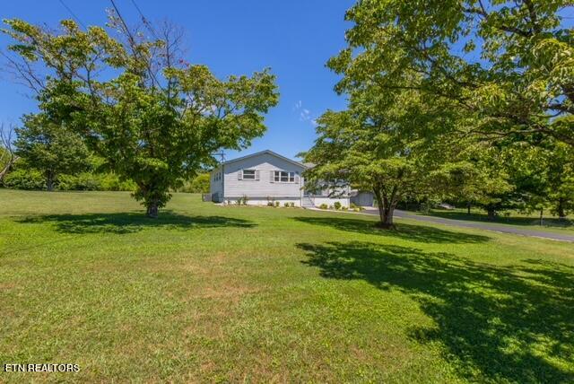 2704 Shipetown Road Mascot, TN 37806 - Photo 3 of 31 image11