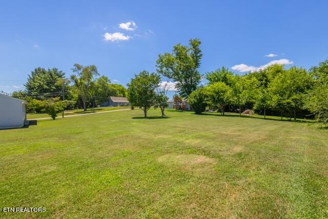 2704 Shipetown Road Mascot, TN 37806 - Photo 8 of 31 image5 (1)