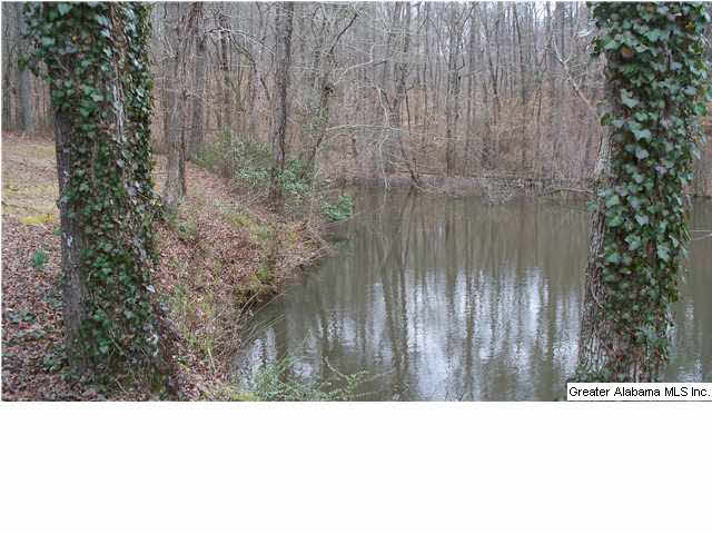 17714 Highway 46, Unit 1 Ranburne, AL 36273 - Photo 3 of 11