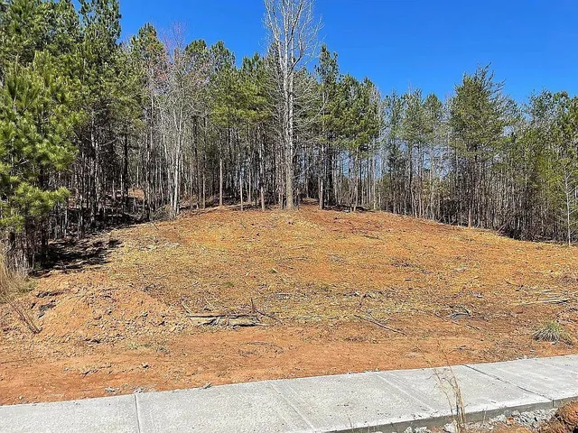 a outdoor space with trees in the background