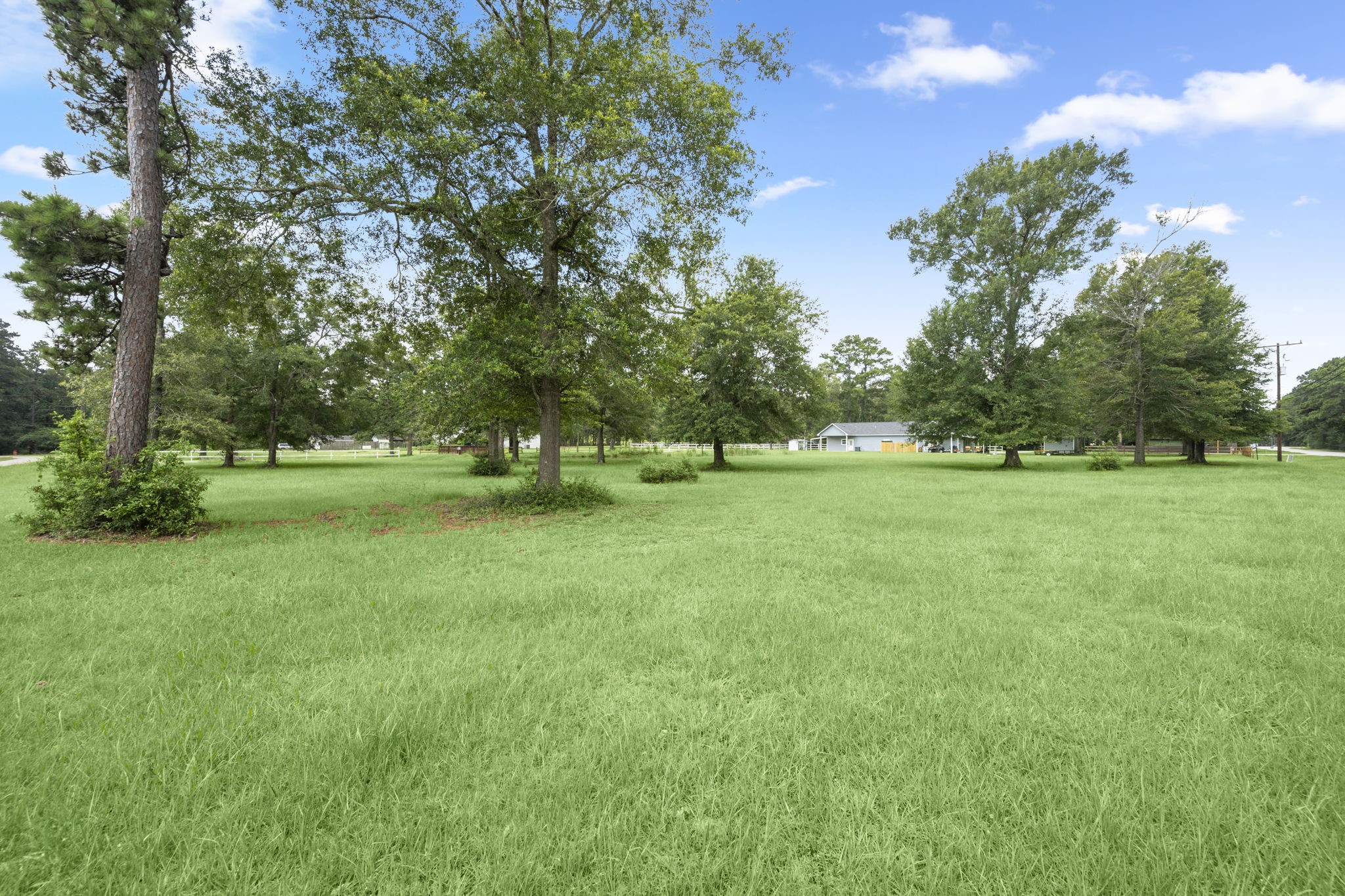 10871 Coaster Lane Conroe, TX 77306 - Photo 34 of 37 This lot has been clear and is grassy. The yard is not weeds, it is beautiful green grass.