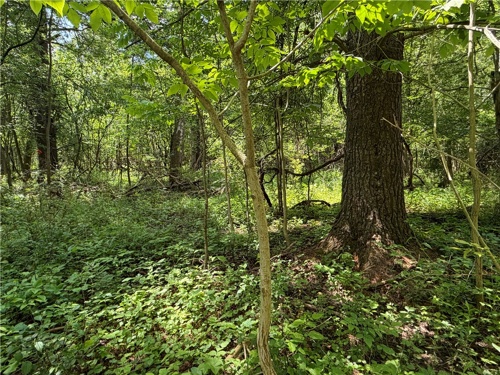 Vl Reed Road Dansville, NY 14437 - Photo 14 of 29