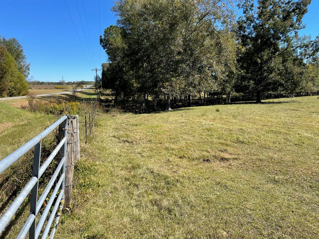 0 Ozell Road Boston, GA 31626 - Photo 13 of 46 Facing East down Ozell Road at Gate