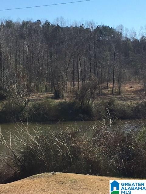 1075 Mountain View Road Cordova, AL 35550 - Photo 2 of 2